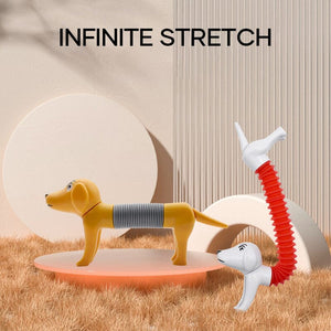 Telescopic Dog Toy