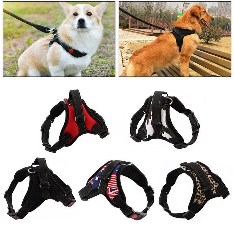 Hirundo® No-Pull Dog Harness, Adjustable Harness for Dogs