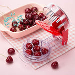 Cherry Pitter Tool