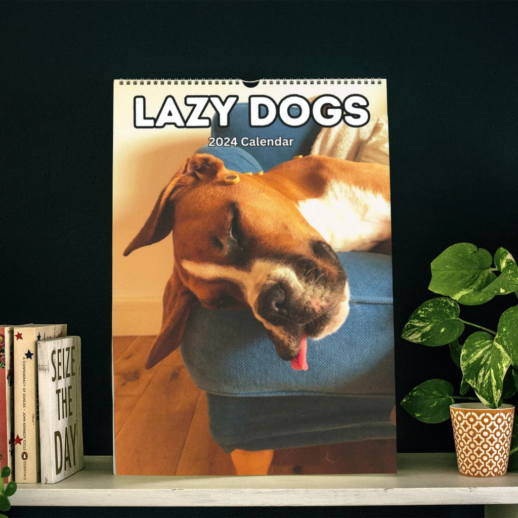 Lazy Dogs Wall Calendar 2024