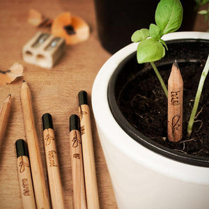 Sprout plantable graphite pencils - 8 Pcs