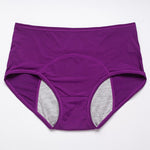 2024 New Upgrade High Waist Leak Proof Panties