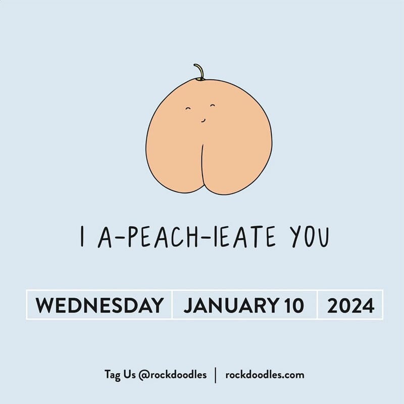 2024 Punny Day-to-Day Desk Calendar - A Year of Laughs & Daily Fun!