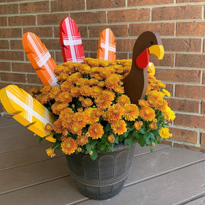 🐔Fall Decor Thanksgiving Turkey