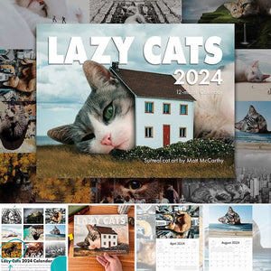 2024 Fun Cat Calendar