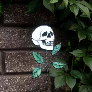 💥Early Halloween 💀Skull Stained glass Plant💐