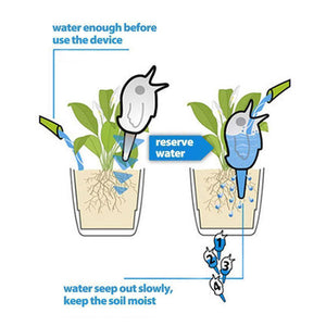 Automatic Little Bird Watering Device