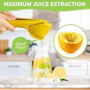 Manual Juicer