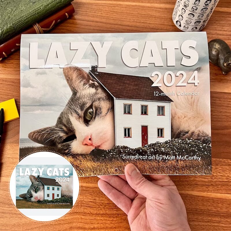 2024 Fun Cat Calendar