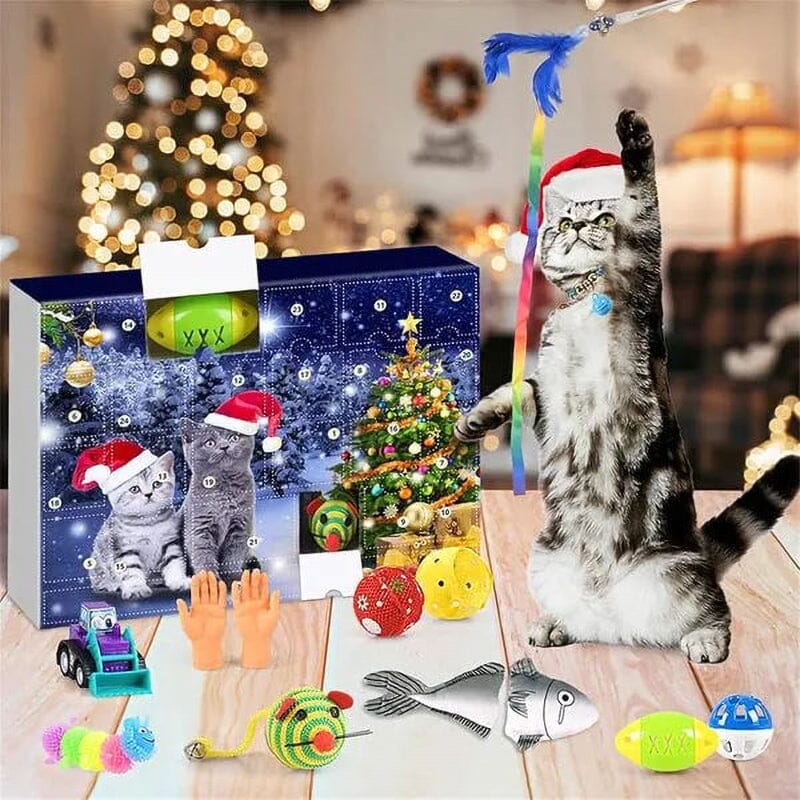 Christmas ountdown cat Calendar