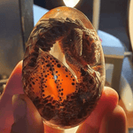 LAVA DRAGON EGG