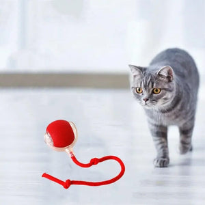 Indoor Cat Interactive Ball