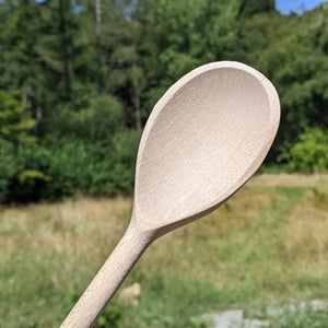 Interesting Wooden Spoon