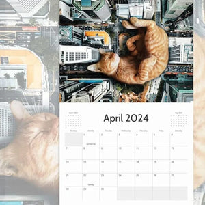 2024 Fun Cat Calendar