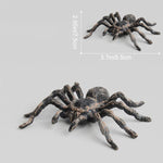 Simulation Spider Toy