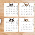 2024 Peeking Cat Desk/Wall Calendar