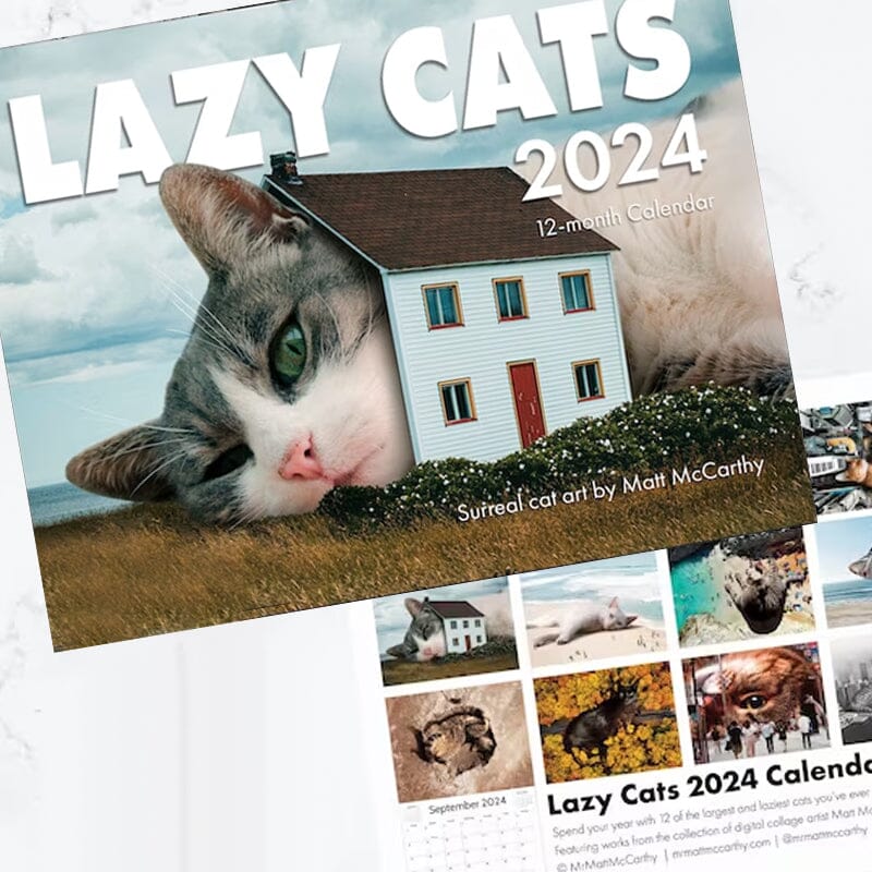 2024 Fun Cat Calendar