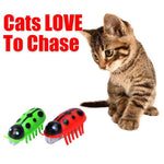 Super Robot Bug Toy for Cats - 2 Pcs