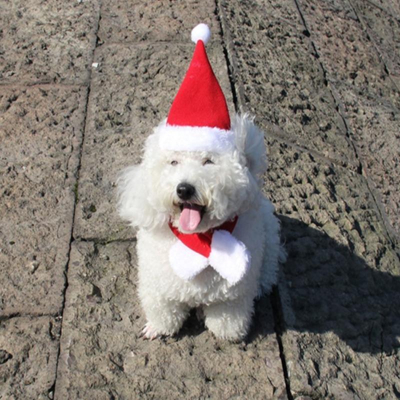 Christmas Decoration Santa Hat with Scarf