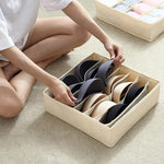 Clothes Storage Box Closet Organizer