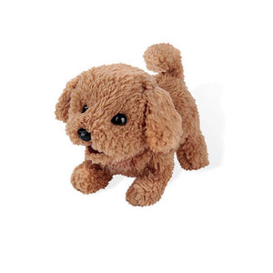 Realistic Teddy Dog Lucky