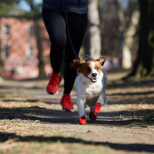 Waterproof Dog Shoes for Paw Protection