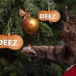 Deez Nuts Ornament