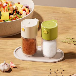 Salt Shaker Spice Dispenser