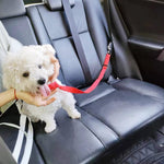 Adjustable Car Dog Leash