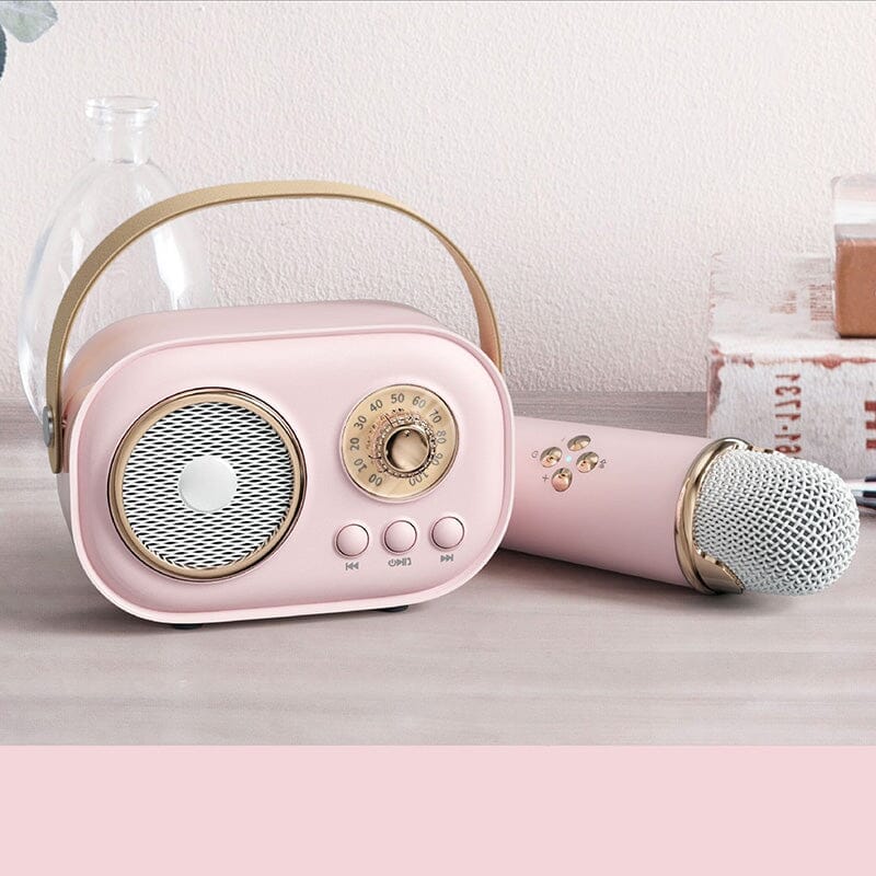 Mini Karaoke Machine & Bluetooth Speaker With Wireless Microphone