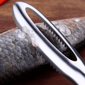 Stainless Steel Fish Scale Planer