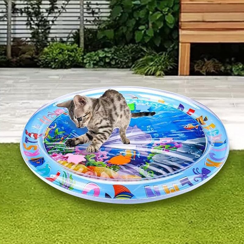 Pet Water Sensory Mat