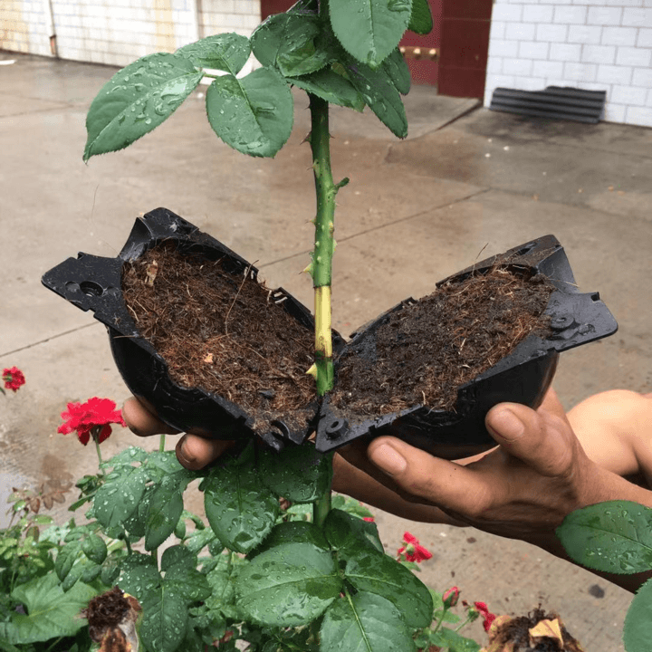 Air Layering Plant Propagator Pod