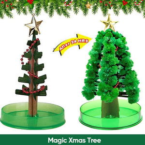 3 in 1 Mini Christmas Tree Magic Growing