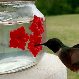 Beautiful Mason Jar Hummingbird Feeder