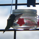 Beautiful Mason Jar Hummingbird Feeder