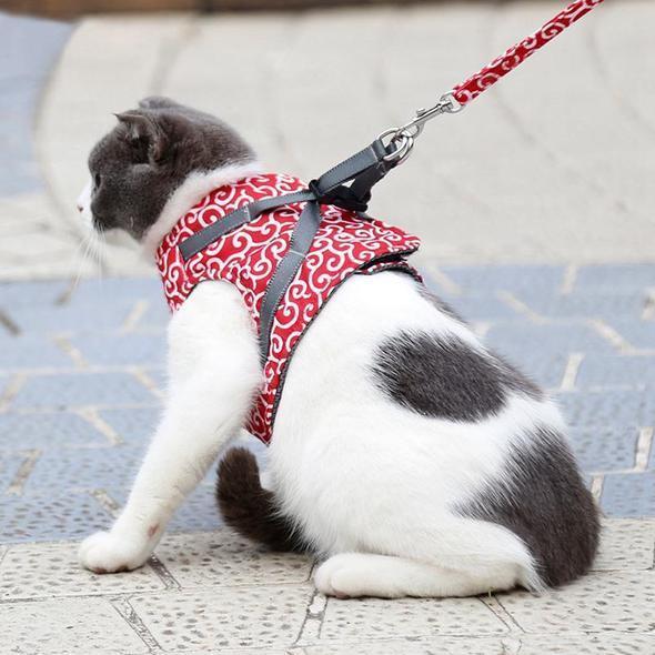 Cat Vest Harness and Leash Set to Outdoor Walking