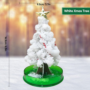 3 in 1 Mini Christmas Tree Magic Growing