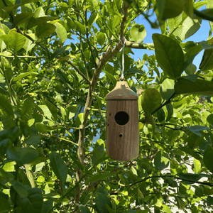 Wooden Hummingbird House - Gift for Natural Lovers