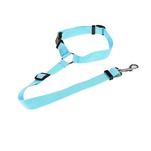 Adjustable Car Dog Leash